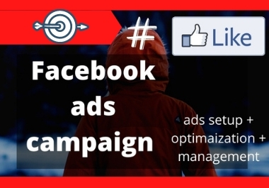 I will do manage and setup fb advertising, fb ads campaign, fb ads manager