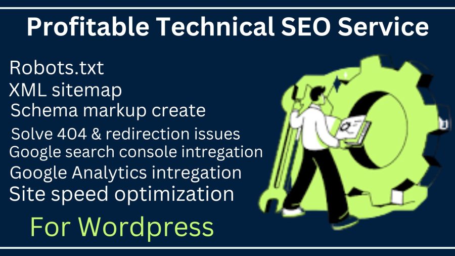 I will provide profitable technical seo service