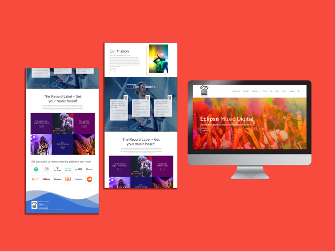 I will build a custom responsive WordPress website design