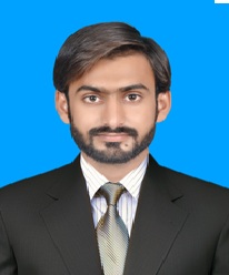 Content writer,Article writer