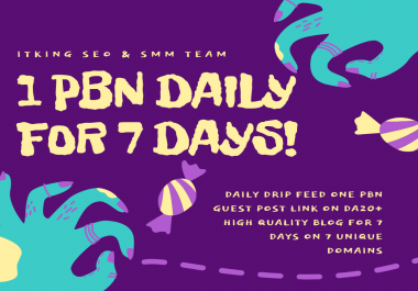 1 PBN Guest Post Daily for 7 Days
