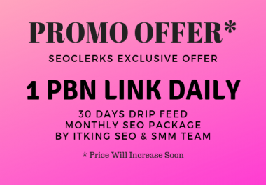 1 PBN link daily for 30 days - Monthly SEO Package