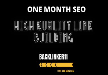 provide a One Complete Month SEO service with high quality link building