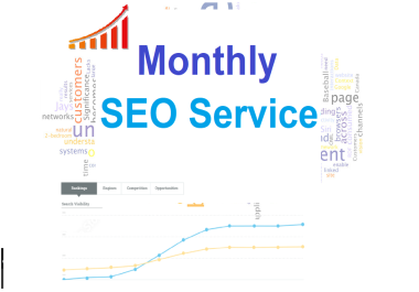 Instant SEO Booster Exclusive 3 Tier backlink Monthly SEO Service