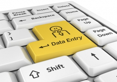 I will do fast and accurate data entry jobs