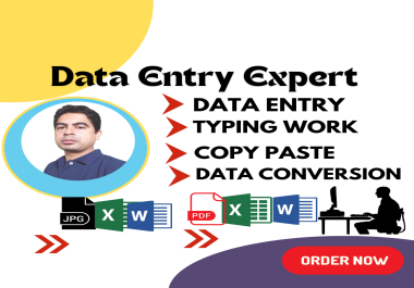 I will do data entry,  excel data entry,  copy paste,  PDF to excel,  PDF to word,  typing