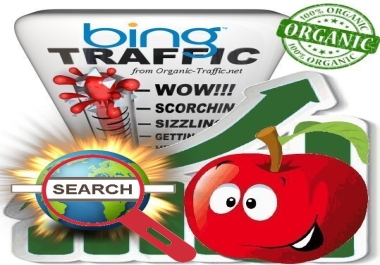 Organic search traffic through Bing with Keywords