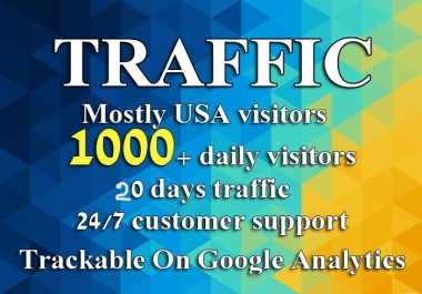 send Daily USA 1000 Visitors Per Day Within 20 Days
