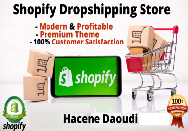 I will create professional shopify dropshipping store