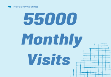 55,000 visits to your website PREMIUM Traffic