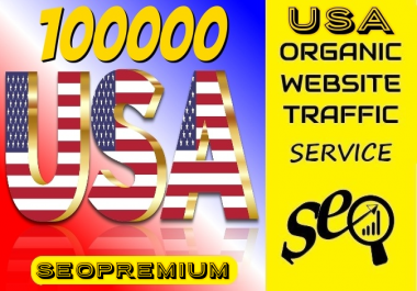 10000 USA Website Traffic Visitors - Geo Targeted