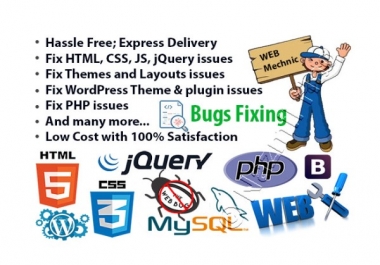 Solve any web site Bug Fixing issues solve perfectly