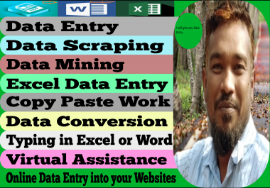 I will give you data entry,  your data collection, copy paste, excel data entry in one day