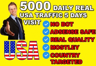 drive usa country target traffic,  organic website visitors