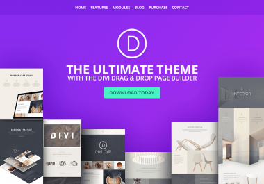 I will provide and install Divi theme for WordPress