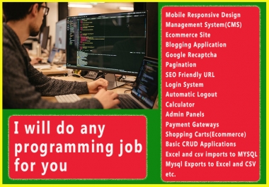 I will do any programming job for you