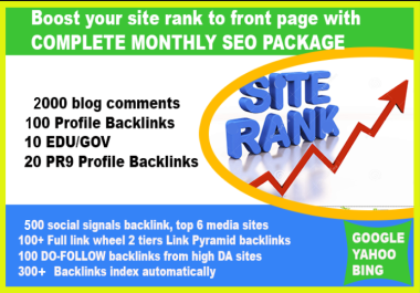 RANK on GOOGLE FIRST PAGE with 3000+ Links COMPLETE MONTHLY SEO PACKAGE 