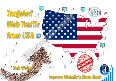 American web visitors real targeted Organic web traffic from USA, United States