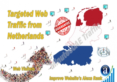 Dutch web visitors real targeted Organic web traffic from Netherlands