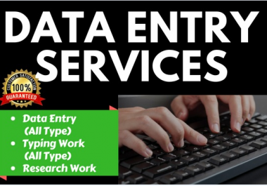 I will Do Perfect Excel Data Entry and Web Research