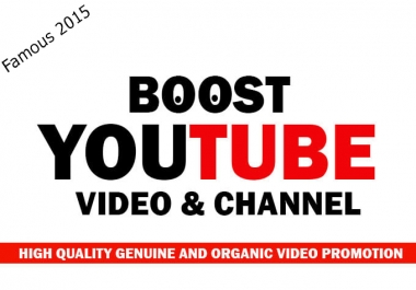 YouTube Video Social Media Boost For You
