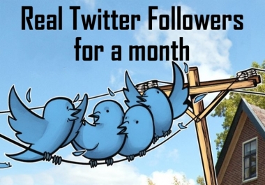 Do Twitter Management Marketing And Grow Your Social Media Promotion Manually