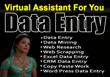 do data entry And web research