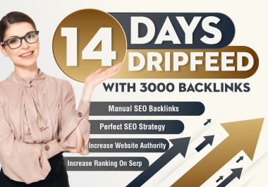 Boost Your Website On Google, 14-Day Dripfeed with 3000 SEO Backlinks