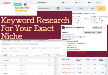 I will give 500 long tail,  low comparative,  niche related keyword and 5 competitor keyword analysis