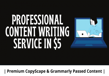 Be Your Professional Content Writer