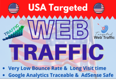 Send 5000+ USA Organic Target Traffic For Website Low Bounce Rate
