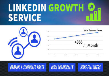Linkedin Growth Service - Management
