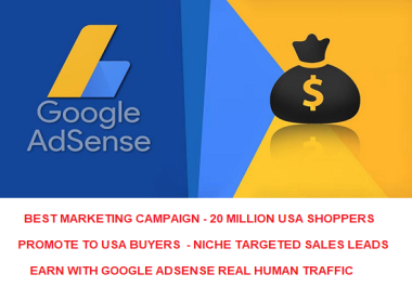 250000 Sales Leads USA Shoppers - 250K Google Adsense Safe Income Traffic