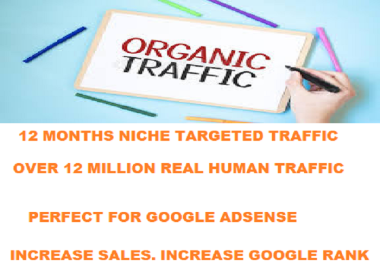 12 Months Traffic - Niche Targeted Sales Leads Traffic 1 Year