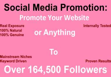 Promote Your Website or Anything to 164,500 People