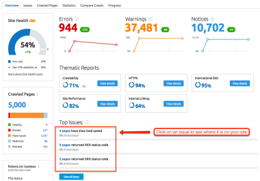I Will Do Site Audit with Semrush