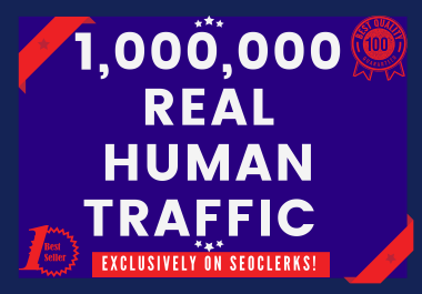 Send 1,000,000+ Real Human Traffic from GOOGLE,YAHOO,BING etc.