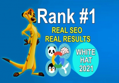 I will be your full service professional SEO agency