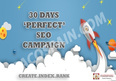SEO Campaign For Your Website 30 days