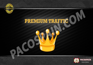 PREMIUM Targeted Visitors/Traffic To Your Websites