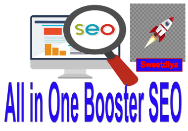 Rank with All in One Booster SEO Package Service