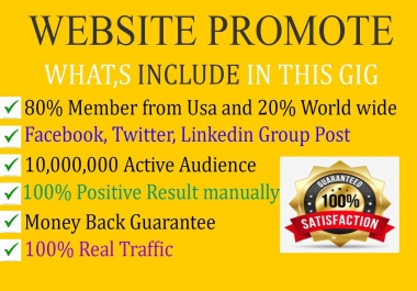 I will promote and advertise your website, blog and business to social media people