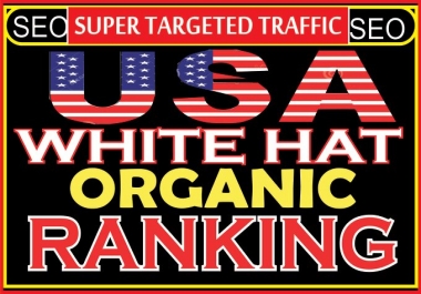 explode your website ranking with niche seo targeted USA web traffic