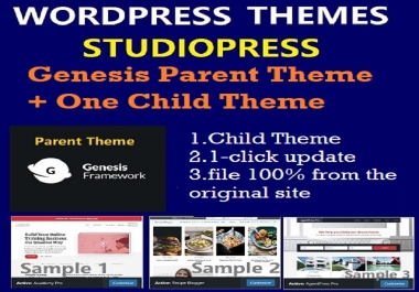 I Will Send One StudioPress WordPress Themes