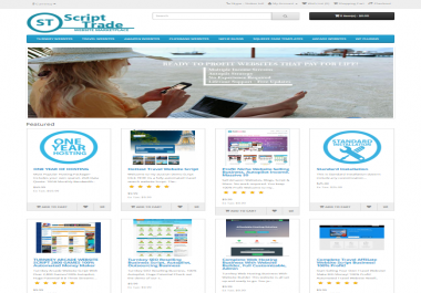 I Will Give You Turnkey Websites Selling Business Script Full Autopilot
