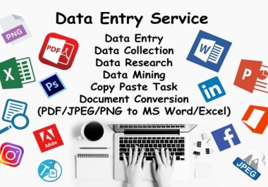 I will do DATA MINING,  COPY PASTE,  WEB RESEARCH,  any type of data entry work for you