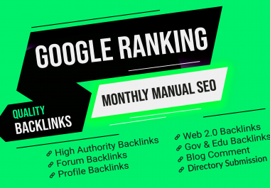 Perfect Monthly SEO service to rank your website on top of google