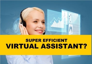 I will be your virtual assistant for data entry,  data mining,  web research