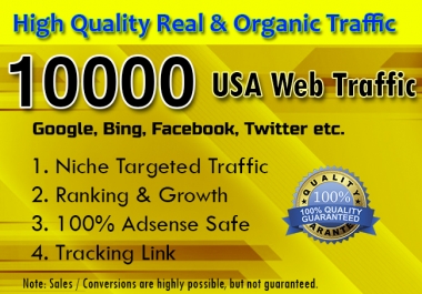 I will drive targeted web traffic from social media with Low Bounce Rate