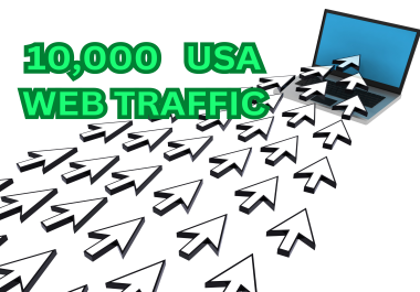 10000 USA Website Traffic from Search Enginee
